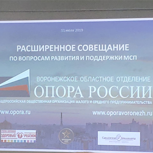 Бизнес-встреча вместе с руководителем